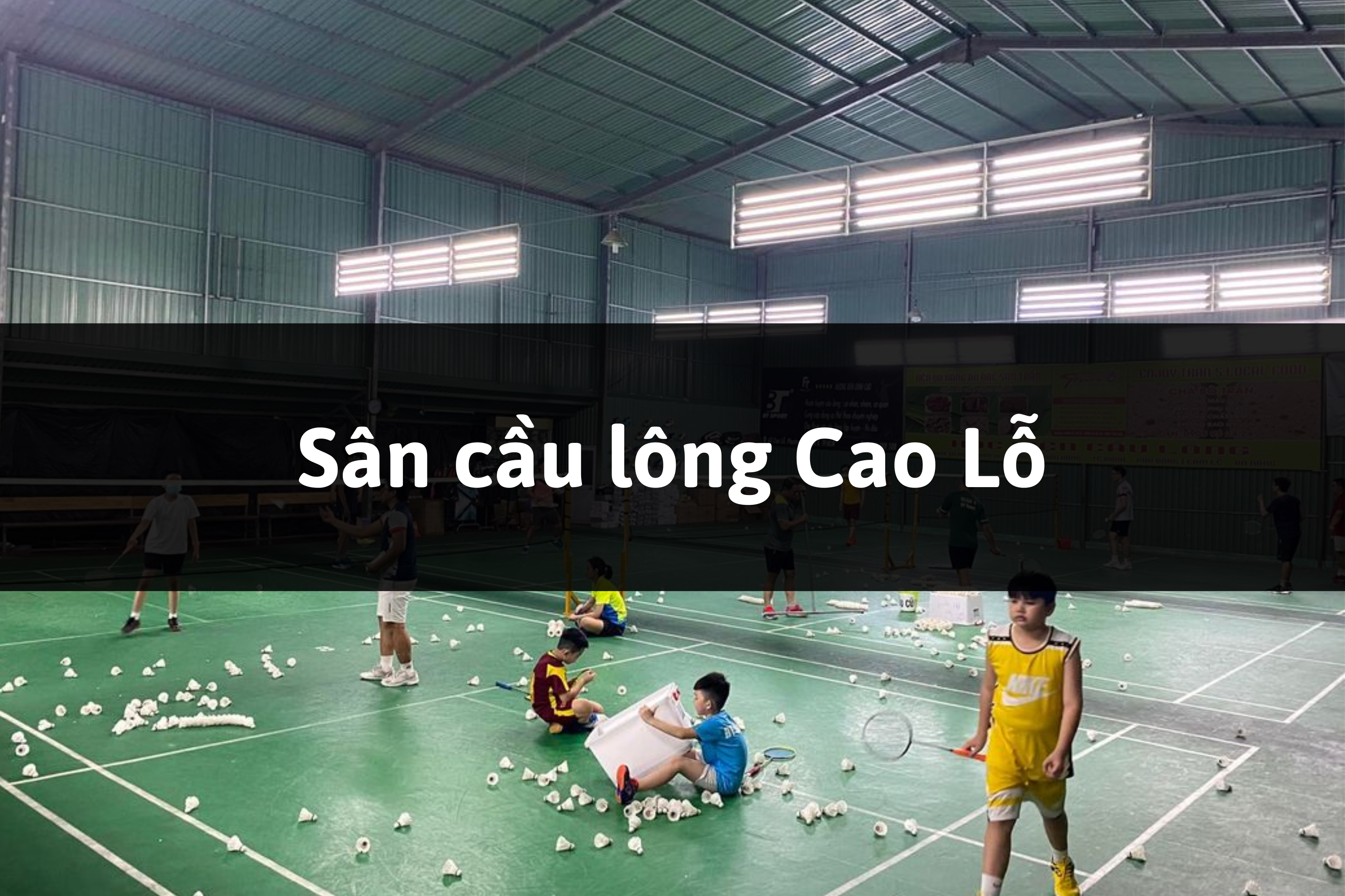 Sân cầu lông Cao Lỗ, Quận 8, Thành phố Hồ Chí Minh