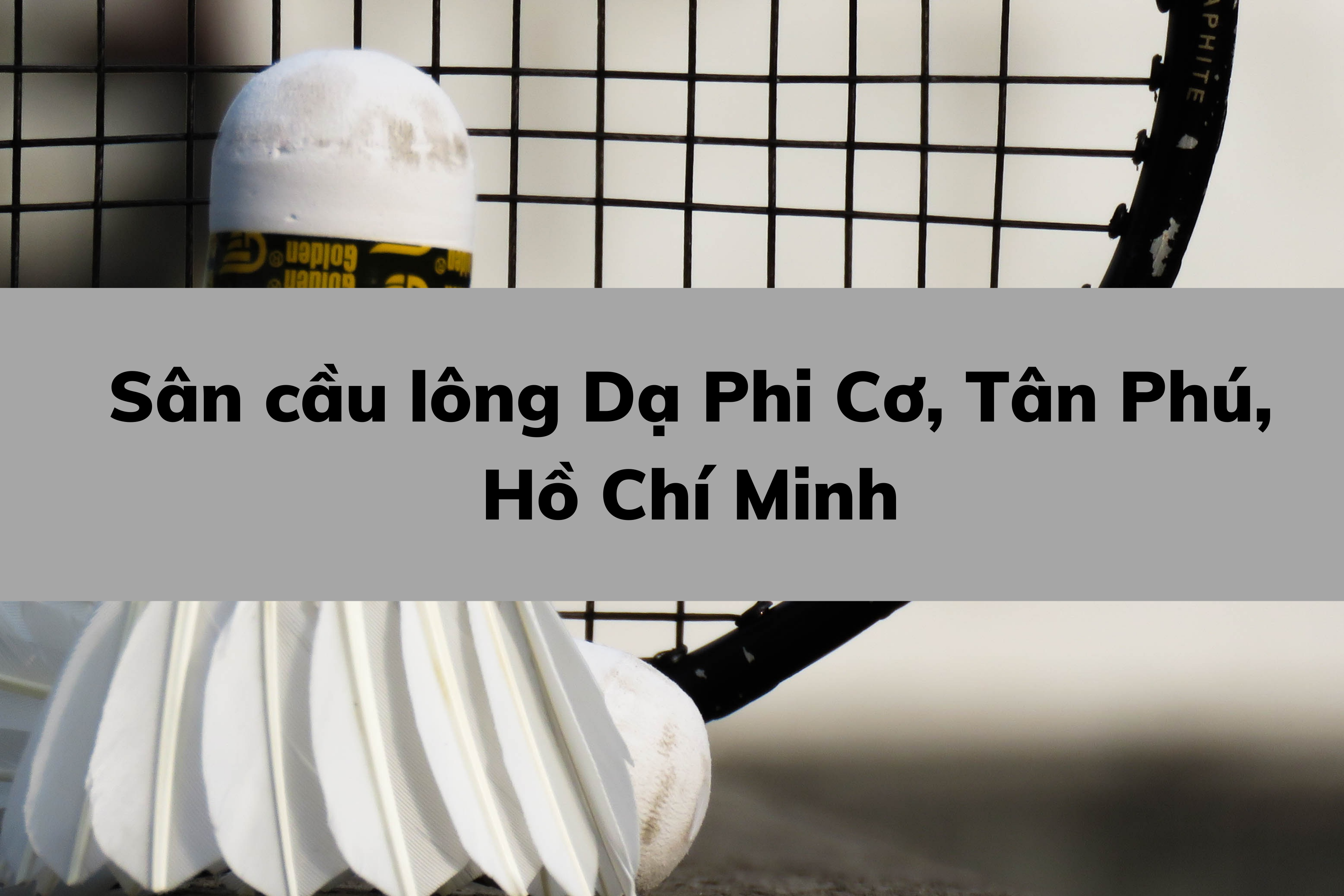 Sân cầu lông Dạ Phi Cơ, Tân Phú, Hồ Chí Minh