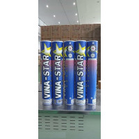 Ống cầu lông Vina Star